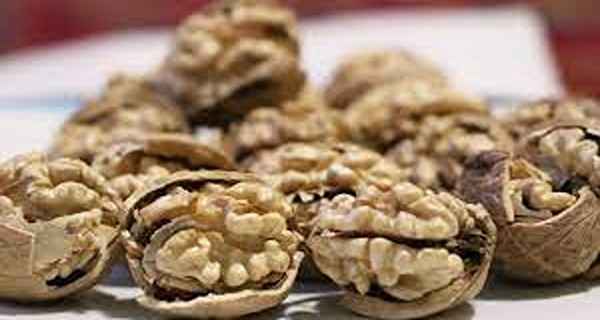 تصویر 4 از فروش مغز گردو تویسرکان + قیمت خرید به صرفه
